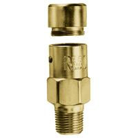 RELIEF VALVE 250 PSI 1/4