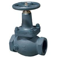 GLOBE VLV 3 INCH NPT