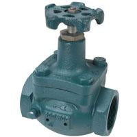 GLOBE VALVE 2 INCH NPT